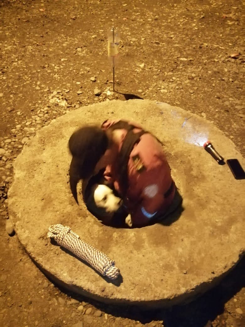 rescate animal junio 30 de 2020