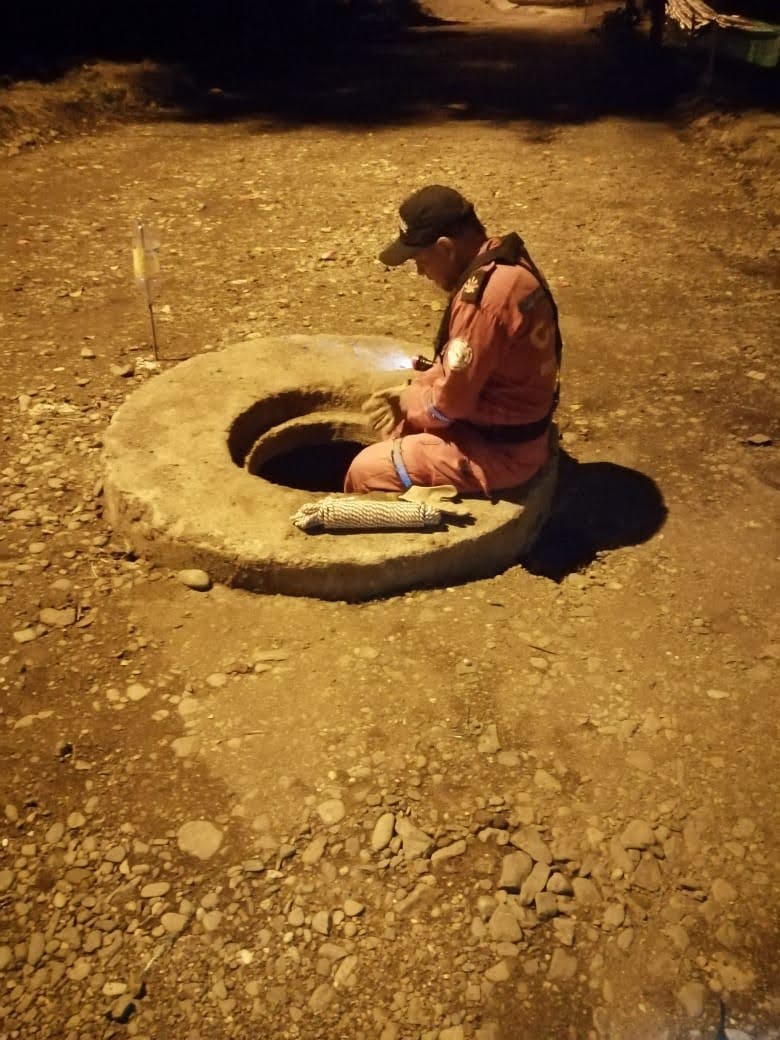 rescate animal junio 30 de 2020