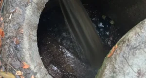 inundación urbanización los alpes Roldanillo Valle