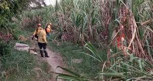Incendio de Pastizal, Barrio El Samán, Roldanillo Valle