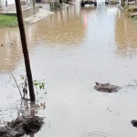 inundación urbanización los alpes Roldanillo Valle