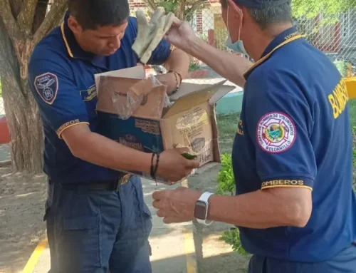 rescate animal 16 de marzo de 2026 a las 9:00 am en la Guardería Principal Roldanillo Valle