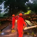 caída de árbol marzo 24 de 2026 Roldanillo Valle