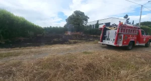 incendio de pastizal en el barrio Las Palmas, Roldanillo valle