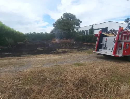 incendio de pastizal en el barrio Las Palmas Municipio de Roldanillo Valle del Cauca