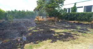 incendio de pastizal en el barrio Las Palmas, Roldanillo valle