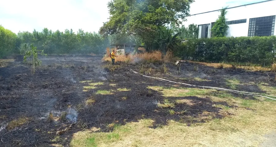 incendio de pastizal en el barrio Las Palmas, Roldanillo valle