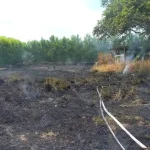 incendio de pastizal en el barrio Las Palmas, Roldanillo valle