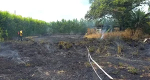 incendio de pastizal en el barrio Las Palmas, Roldanillo valle