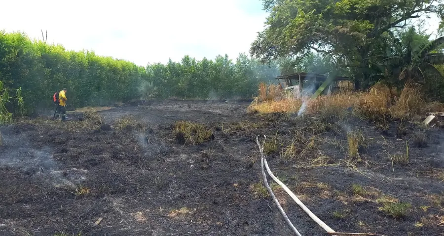 incendio de pastizal en el barrio Las Palmas, Roldanillo valle